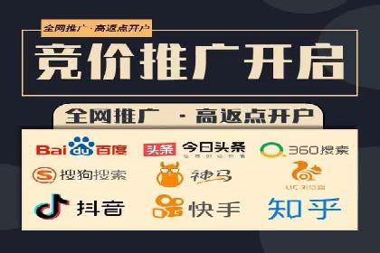 突破关键词竞价排名困境的案例解析